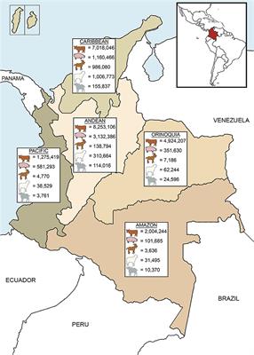 Brucellosis in Colombia: Current Status and Challenges in the Control of an <mark class="highlighted">Endemic Disease</mark>